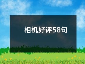 相机好评58句