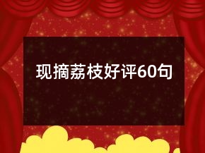 现摘荔枝好评60句