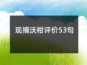 现摘沃柑评价53句