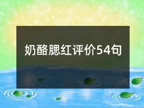 奶酪腮红评价54句