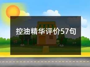 控油精华评价57句