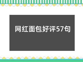 网红面包好评57句