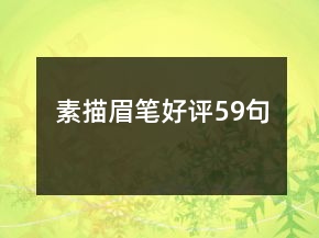 素描眉笔好评59句