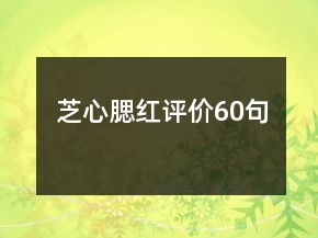 芝心腮红评价60句