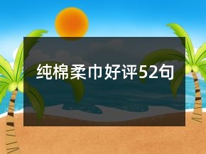 纯棉柔巾好评52句