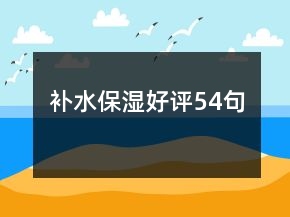 补水保湿好评54句