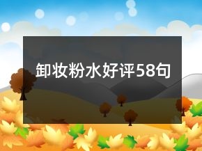 卸妆粉水好评58句