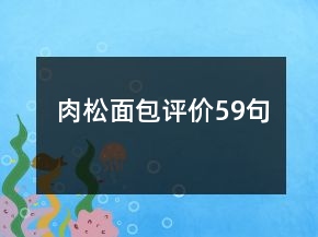 肉松面包评价59句