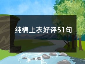 纯棉上衣好评51句