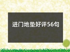 进门地垫好评56句