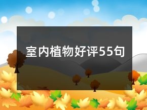 室内植物好评55句