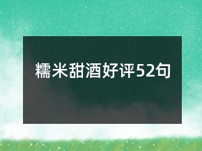 糯米甜酒好评52句