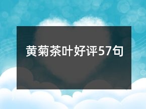 黄菊茶叶好评57句