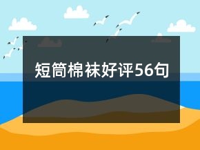 短筒棉袜好评56句