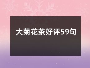 大菊花茶好评59句