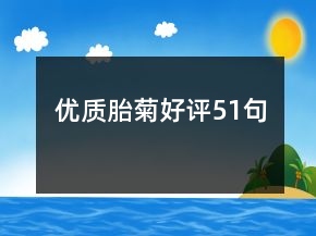 优质胎菊好评51句