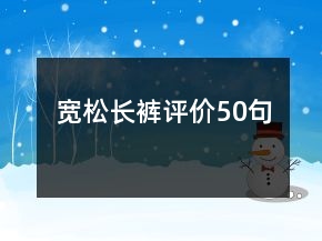 宽松长裤评价50句