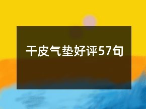 干皮气垫好评57句