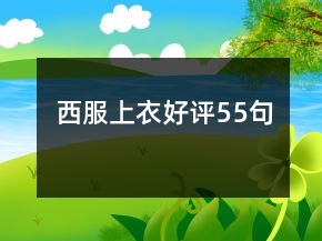 西服上衣好评55句