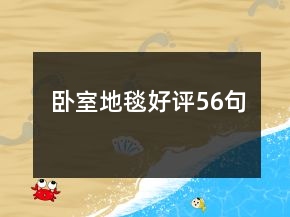 卧室地毯好评56句