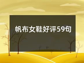 帆布女鞋好评59句