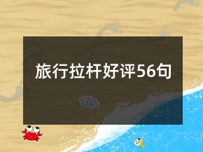旅行拉杆好评56句