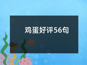鸡蛋好评56句