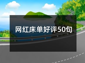 网红床单好评50句