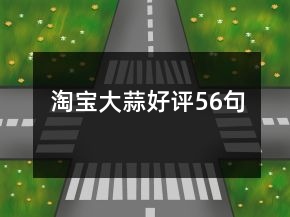 淘宝大蒜好评56句