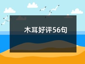 木耳好评56句