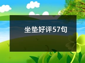坐垫好评57句