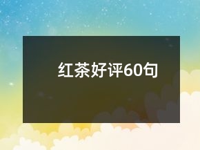红茶好评60句