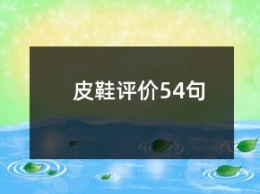 皮鞋评价54句