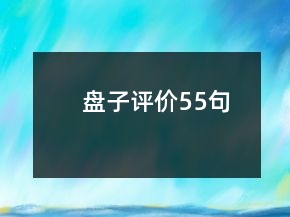 盘子评价55句