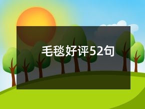 毛毯好评52句