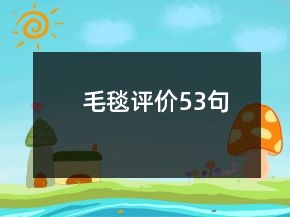 毛毯评价53句