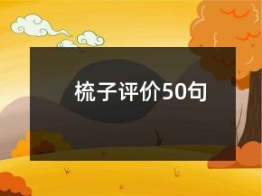 梳子评价50句