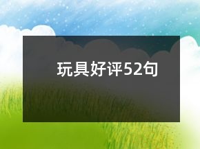 玩具好评52句