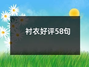衬衣好评58句