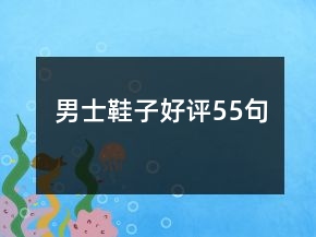 男士鞋子好评55句
