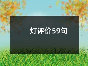 灯评价59句