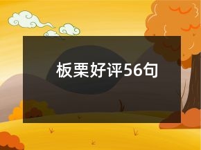 板栗好评56句