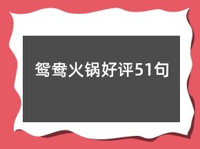 鸳鸯火锅好评51句