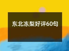 东北冻梨好评60句