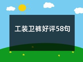 工装卫裤好评58句