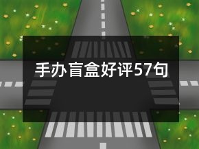 手办盲盒好评57句