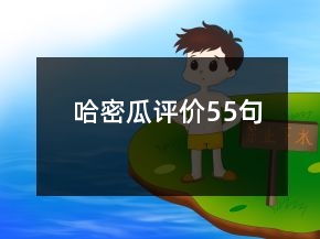 哈密瓜评价55句