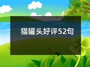 猫罐头好评52句