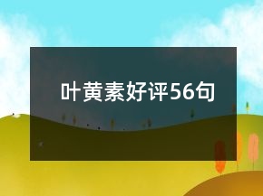 叶黄素好评56句