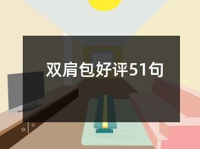 双肩包好评51句